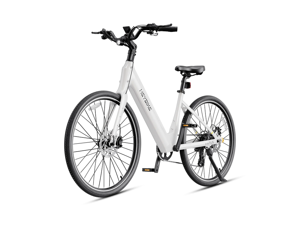 Heybike Venus