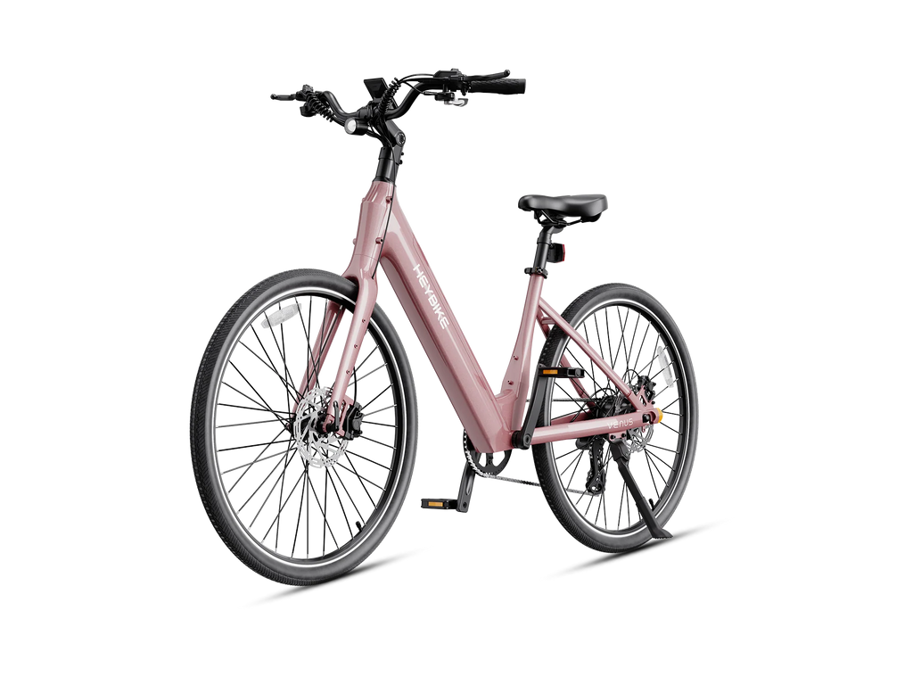 Heybike Venus
