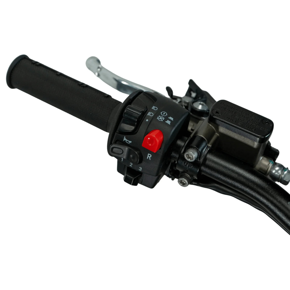 Arctic Leopard XE PRO R