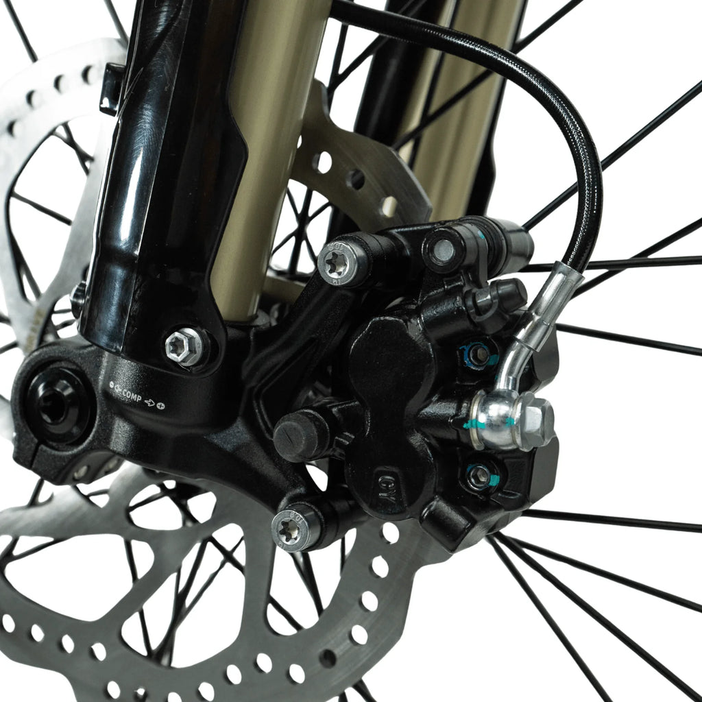 Arctic Leopard XE PRO R